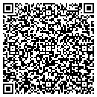 QR-код с контактной информацией организации Бар на ул. 22 Партсъезда, 33