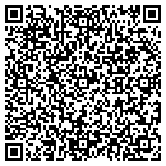 QR-код с контактной информацией организации Детский сад №160