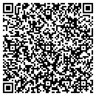 QR-код с контактной информацией организации ИП Абдуллина Г.И.