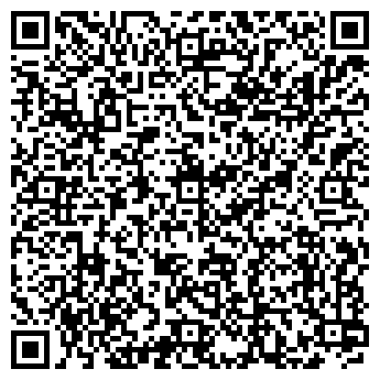 QR-код с контактной информацией организации Вилли-Нилли, кафе