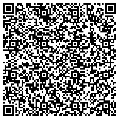 QR-код с контактной информацией организации Лиза, магазин женской одежды, ИП Борисова Н.Н.