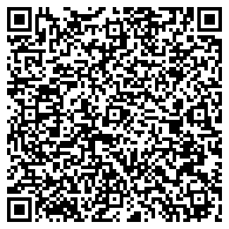 QR-код с контактной информацией организации Вася