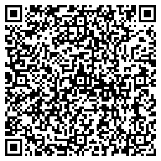 QR-код с контактной информацией организации Элис