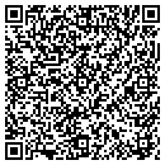QR-код с контактной информацией организации ИП Кабаева Н.А.