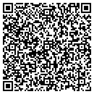 QR-код с контактной информацией организации ИП Стремин С.А.