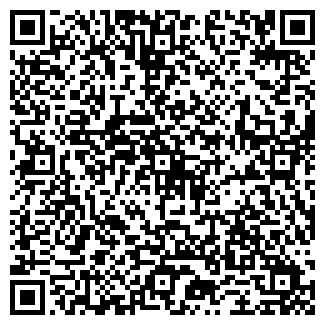 QR-код с контактной информацией организации ИП Баясан С.А.