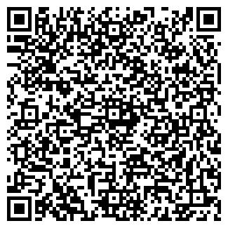 QR-код с контактной информацией организации ИП Дыба Н.А.