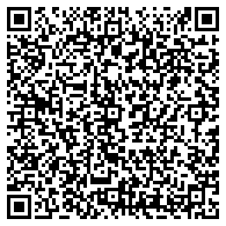 QR-код с контактной информацией организации Zanzi bar