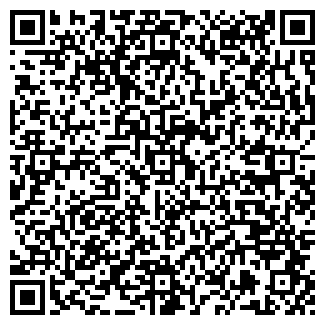QR-код с контактной информацией организации ИП Багдасаров А.Б.