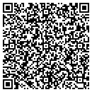 QR-код с контактной информацией организации ИП Павлова В.П.