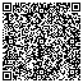 QR-код с контактной информацией организации Dginsa`