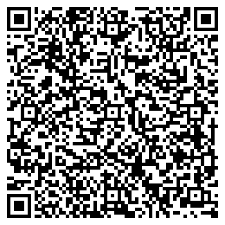 QR-код с контактной информацией организации Аномалия, бар-ресторан