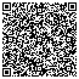 QR-код с контактной информацией организации Магазин игрушек на ул. Революции, 22