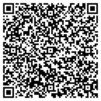 QR-код с контактной информацией организации Николя