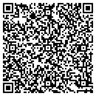 QR-код с контактной информацией организации Шелк, ресторан