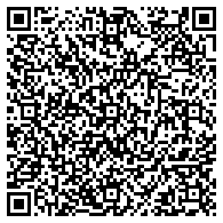 QR-код с контактной информацией организации ИП Душкина Ю.А.