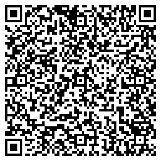 QR-код с контактной информацией организации ИП Черникова Н.Ю.