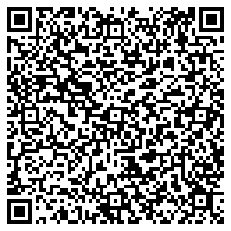 QR-код с контактной информацией организации ИП Королев О.Е.