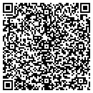 QR-код с контактной информацией организации ЗВЕЗДА