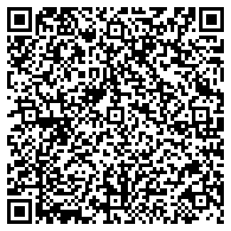 QR-код с контактной информацией организации ИП Шахова И.Н.