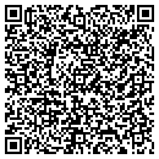 QR-код с контактной информацией организации Пылесос