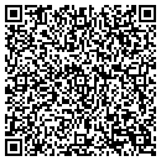 QR-код с контактной информацией организации ИП Мамедов А.А.