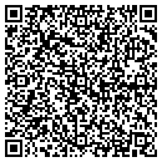 QR-код с контактной информацией организации ИП Керимов В.Ш.