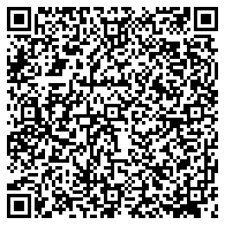 QR-код с контактной информацией организации БИГ ТОЙЗ