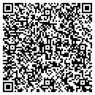 QR-код с контактной информацией организации Школа шахмат