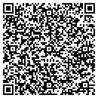 QR-код с контактной информацией организации 220v380.ru