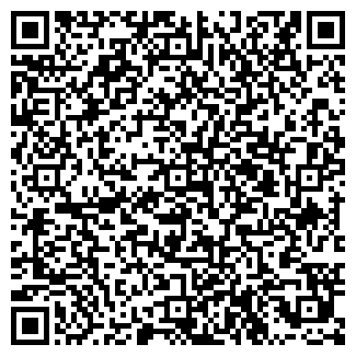 QR-код с контактной информацией организации ИП Васильева Г.Д.