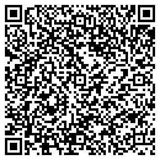 QR-код с контактной информацией организации ИП Иванова Е.И.