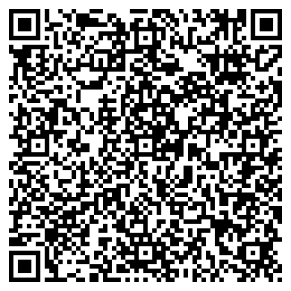 QR-код с контактной информацией организации LadySamara.ru