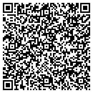 QR-код с контактной информацией организации Самара в сети