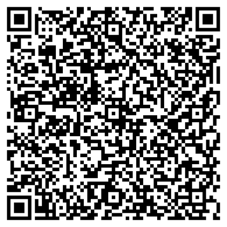 QR-код с контактной информацией организации Дорожный