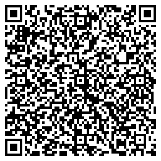 QR-код с контактной информацией организации Стильная сумка