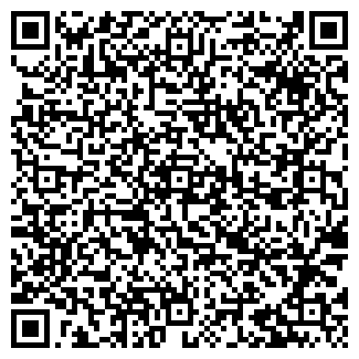 QR-код с контактной информацией организации ИП Шмакова Г.Н.