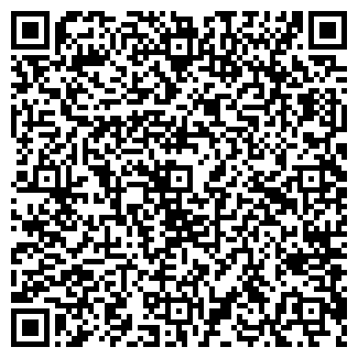 QR-код с контактной информацией организации На Чичерина