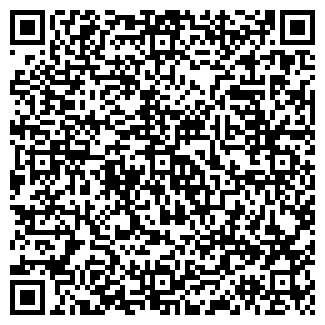 QR-код с контактной информацией организации Лиза