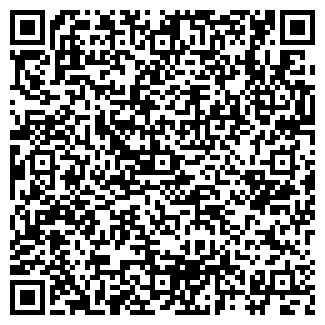 QR-код с контактной информацией организации ООО Электрика