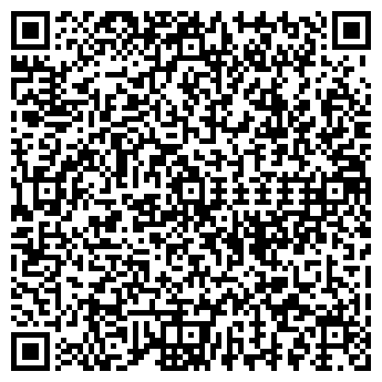 QR-код с контактной информацией организации № 197 РУСАЛОЧКА