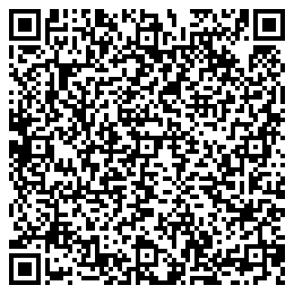 QR-код с контактной информацией организации Бир Мир