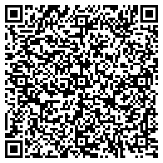 QR-код с контактной информацией организации Бир Мир