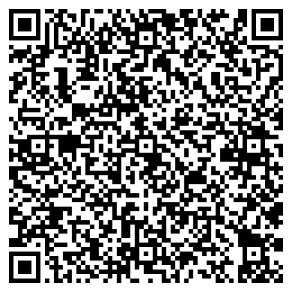 QR-код с контактной информацией организации Бир Мир