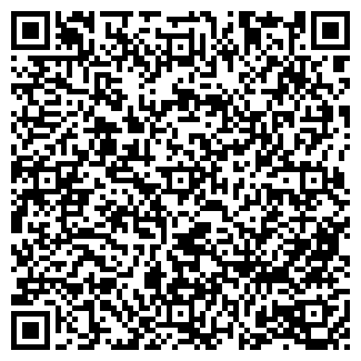 QR-код с контактной информацией организации Бир Мир