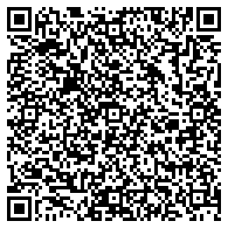 QR-код с контактной информацией организации ЛИЦЕЙ