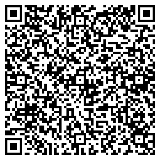QR-код с контактной информацией организации Продуктовый магазин, ООО Вива