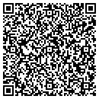 QR-код с контактной информацией организации ИП Рудь С.С.