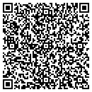 QR-код с контактной информацией организации Магазин мяса, ИП Денисов И.А.