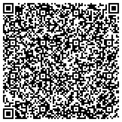 QR-код с контактной информацией организации CHINIM.MOBI, многопрофильная компания, ООО Интерсервис